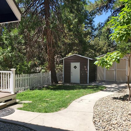 -Serendipity Lodge At Yosemite- Bbq-Full Kitchen-King Bed Oakhurst Extérieur photo
